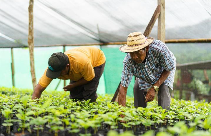 Petroterminal De PanamÁ, S.a. Provides Support To Local Farmers In The 